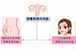 卵巢早衰(POF)