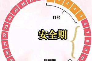 排卵危险期